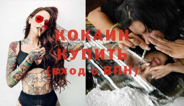 ГАЛЛЮЦИНОГЕННЫЕ ГРИБЫ Няндома
