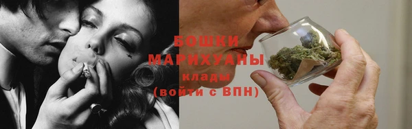 ГАЛЛЮЦИНОГЕННЫЕ ГРИБЫ Няндома