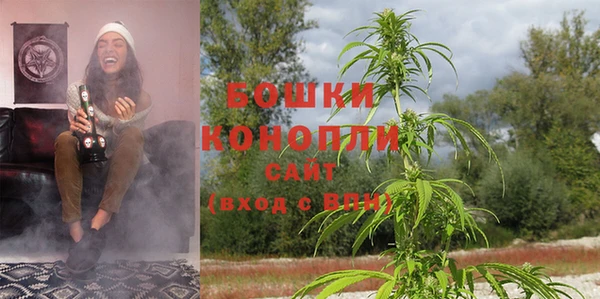 таблы Аша