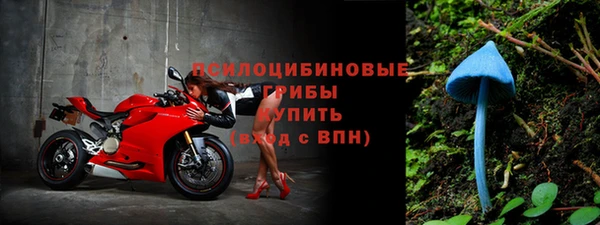 ГАЛЛЮЦИНОГЕННЫЕ ГРИБЫ Няндома