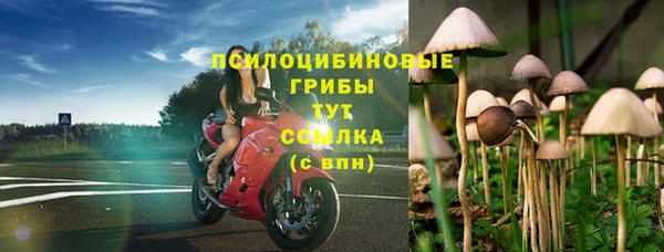 ГАЛЛЮЦИНОГЕННЫЕ ГРИБЫ Няндома