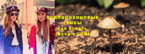 ГАЛЛЮЦИНОГЕННЫЕ ГРИБЫ Няндома
