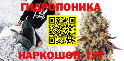 apvp Кандалакша