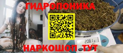 эйфоретик Канаш