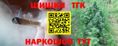 дживик Камышлов