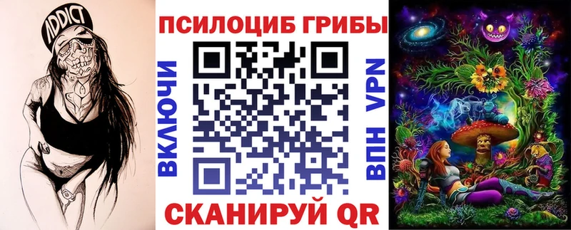 Псилоцибиновые грибы Magic Shrooms  наркотики  блэк спрут ссылка  Новочебоксарск 