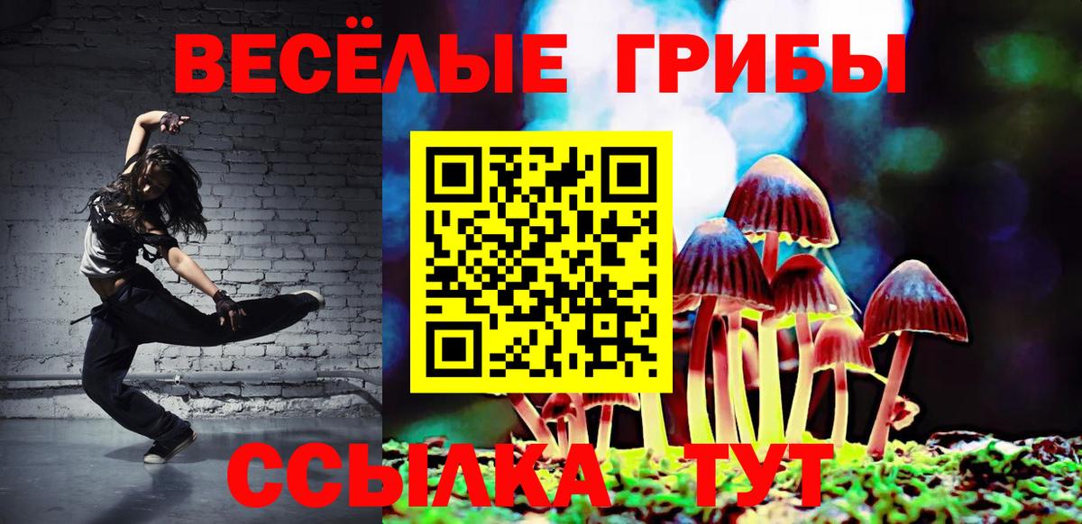 Новочебоксарск  Галлюциногенные грибы Cubensis  цены   Вход с VPN 